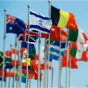 3' x 5' Israeli Flag - Image 2